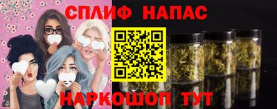 прущие грибы Кунгур
