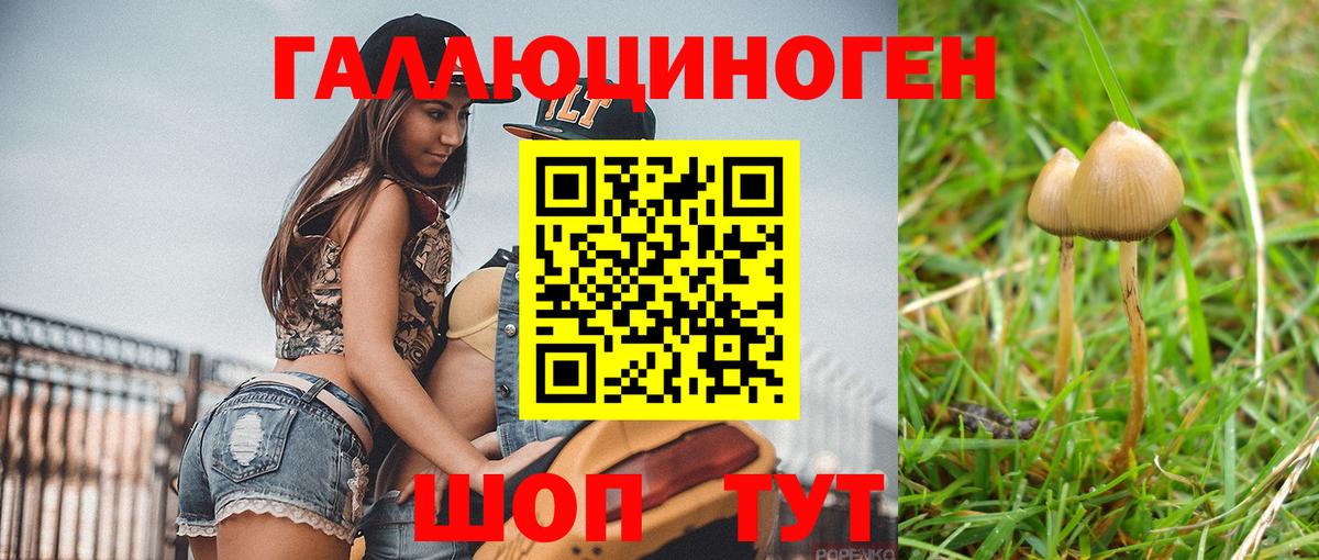 Клинцы  Псилоцибиновые грибы GOLDEN TEACHER  Вход с VPN 
