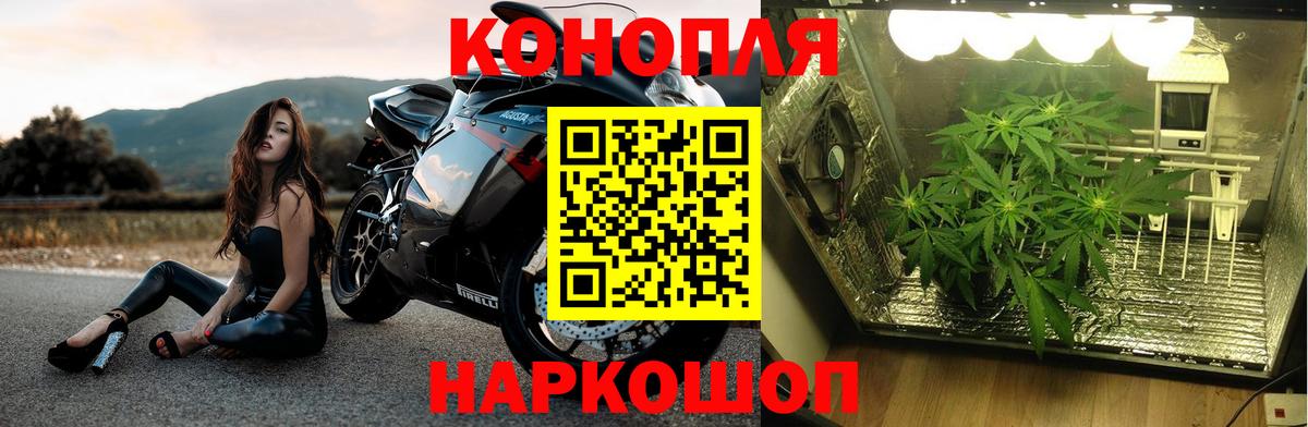 Канабис OG Kush  Каннабис Amnesia  Бошки марихуана Bruce Banner  Вход с VPN  Бошки марихуана MAZAR  Клинцы 